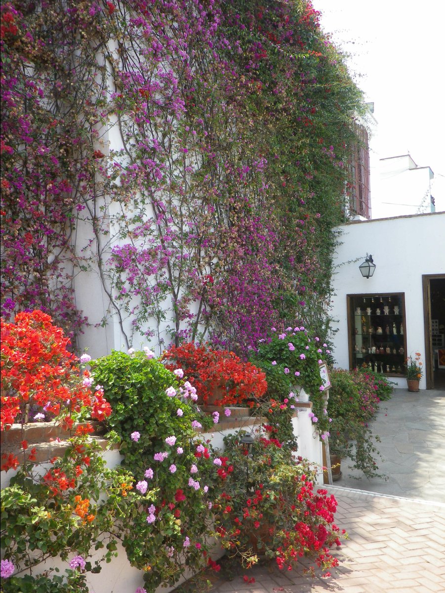 Museo Larco04